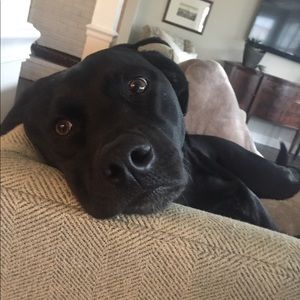 Meet your Posher, John